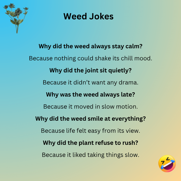 Weed Jokes One Liners