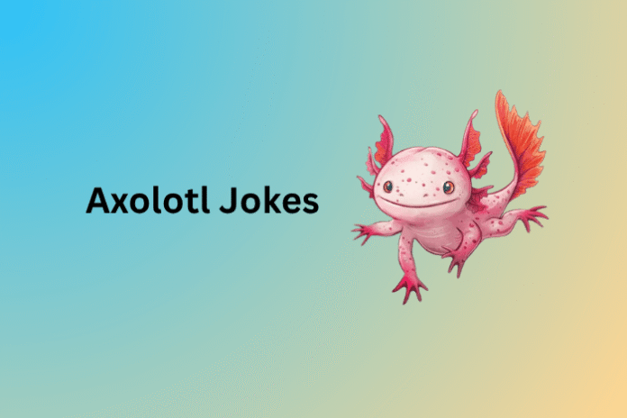Axolotl Jokes