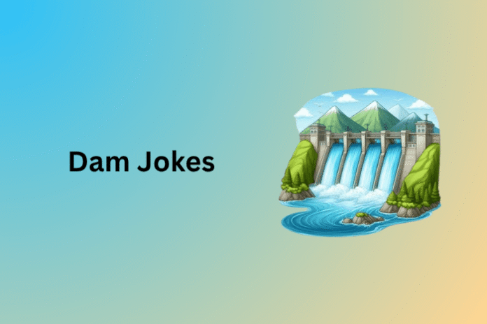 Dam Jokes