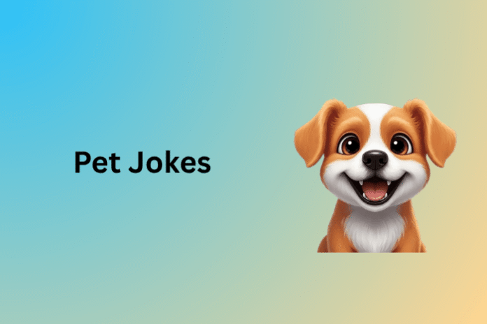 Pet Jokes