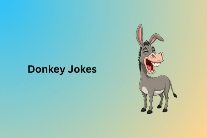 Donkey Jokes